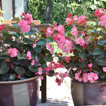 דירה Be Well 3-rooms With Parking And Garden *