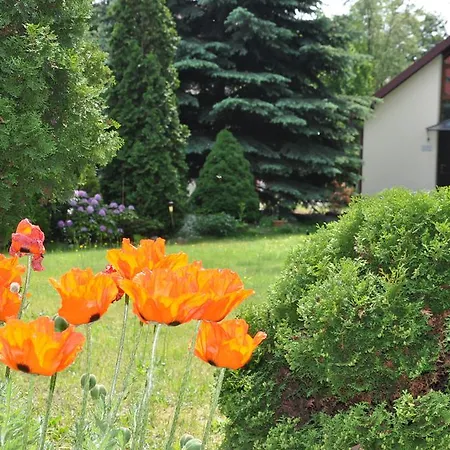 Appartement Be Well 3-rooms With Parking And Garden