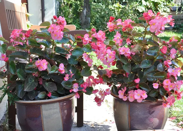 Daire Be Well 3-rooms With Parking And Garden *