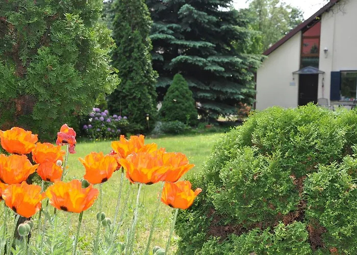 Daire Be Well 3-rooms With Parking And Garden